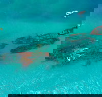 Private Tangalooma Wrecks Tour - Goulburn Accommodation
