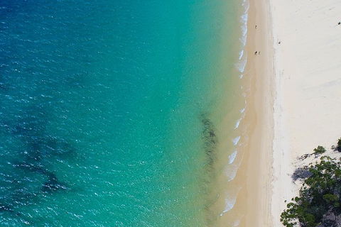 Private Tangalooma Wrecks Tour - Goulburn Accommodation 1