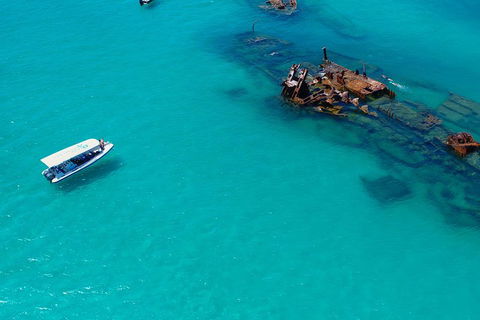 Private Tangalooma Wrecks Tour - Goulburn Accommodation 4