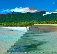5-Day Best of Cairns with Daintree Kuranda and Great Barrier Reef - Goulburn Accommodation
