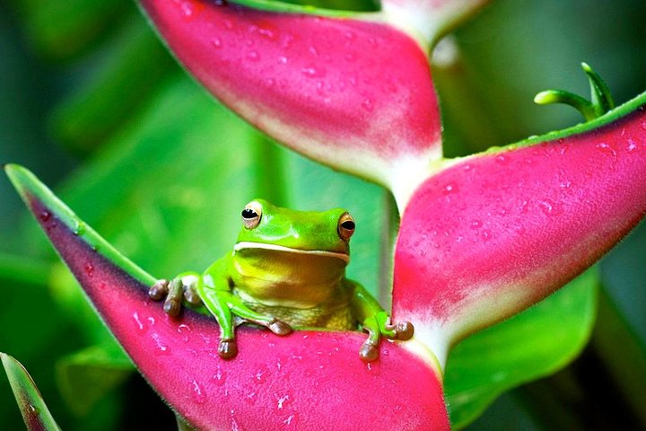 Goulburn Accommodation