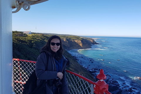 Great Ocean Road Full Day Private Experience - Goulburn Accommodation 1