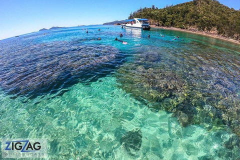 Whitehaven Beach Day Tour With Snorkel In Whitsundays Island - Goulburn Accommodation 5