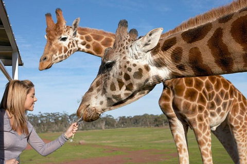 Melbourne City Card (2 Days): Visit Unlimited Attractions! - Goulburn Accommodation 1