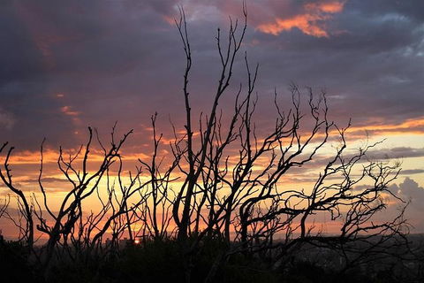 Sydney Harbour, Northern Beaches And National Park - Goulburn Accommodation 4