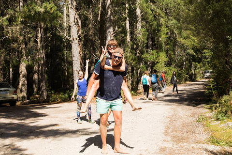 7-Day Best Of Tasmania Adventure Experience From Hobart (flexible Ticket) - Goulburn Accommodation 5