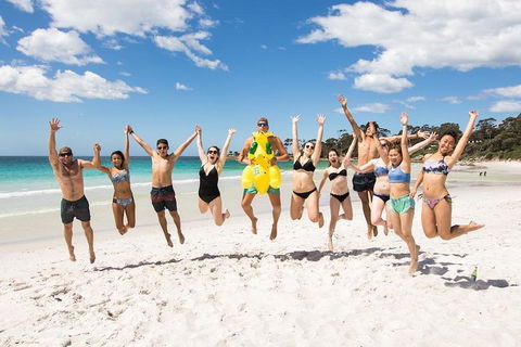 5-Day Lap Of Tasmania Tour From Hobart (flexible Ticket) - Goulburn Accommodation 4