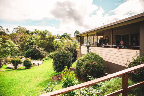 Full-day Springbrook National Park Tour From The Gold Coast - Goulburn Accommodation 2