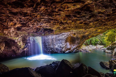 Full-day Springbrook National Park Tour From The Gold Coast - Goulburn Accommodation 3