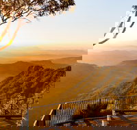 O'Reilly's  Lamington National Park incl. Alpaca Farm  Vineyard - Goulburn Accommodation
