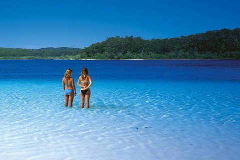 Fraser Island 4WD Tour From Noosa - Goulburn Accommodation 2