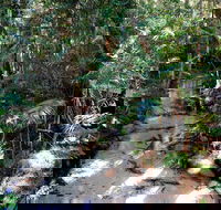 Fraser Island 4WD Tour from Rainbow Beach - Goulburn Accommodation
