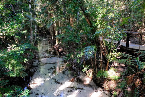 Fraser Island 4WD Tour From Rainbow Beach - Goulburn Accommodation 0