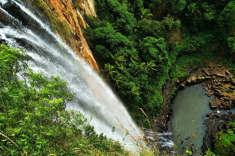 Rainforest & Waterfalls Extravaganza - Goulburn Accommodation 1
