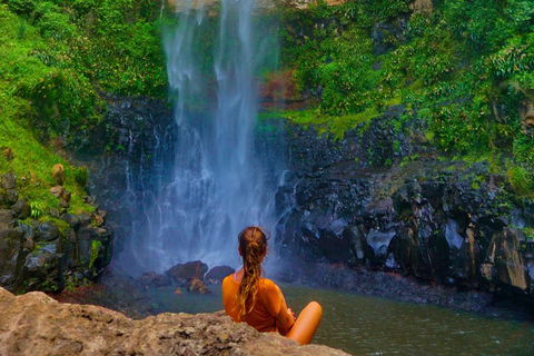 Rainforest & Waterfalls Extravaganza - Goulburn Accommodation 2