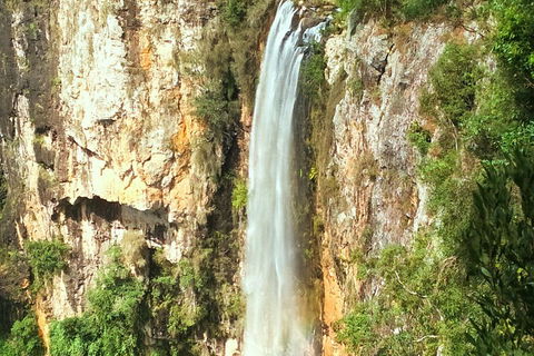 Rainforest & Waterfalls Extravaganza - Goulburn Accommodation 3