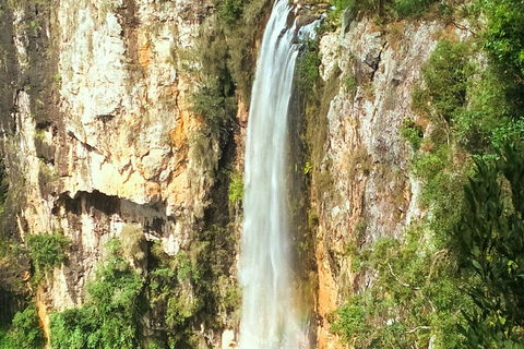 Natural Arch, Rainforest & Volcano Canyon - Private Half Day Tour - Goulburn Accommodation 2