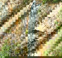 Private Tour - Rainforest  Waterfalls Extravaganza - Goulburn Accommodation