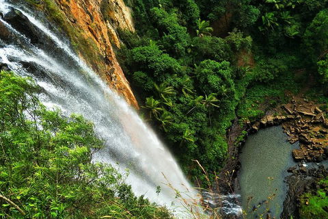 Private Tour - Rainforest & Waterfalls Extravaganza - Goulburn Accommodation 2