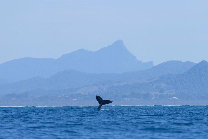  Goulburn Accommodation