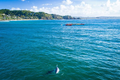 The Byron Bay Sea Kayak Tour - Goulburn Accommodation 2