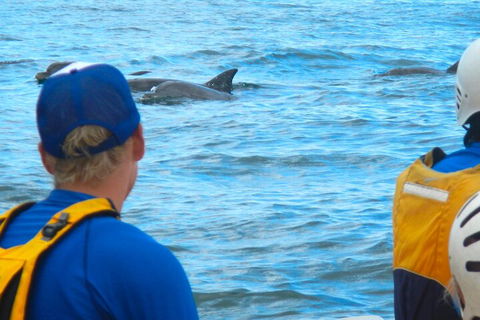 The Byron Bay Sea Kayak Tour - Goulburn Accommodation 4