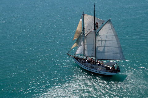 Whitehaven Beach Sailing And Snorkeling Cruise - Goulburn Accommodation 1