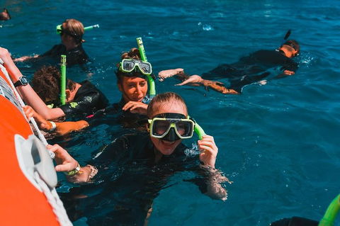 Whitehaven Beach And Hill Inlet Lookout Full-Day Snorkeling Cruise By High-Speed Catamaran - Goulburn Accommodation 3