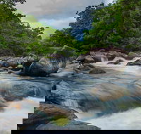 Cape Tribulation Day Tour - Goulburn Accommodation