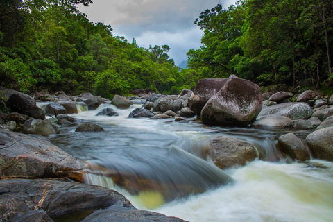 Cape Tribulation Day Tour - Goulburn Accommodation 0