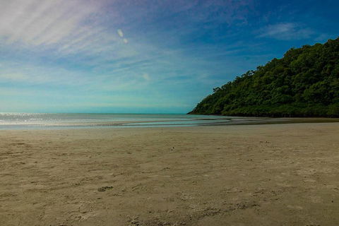 Cape Tribulation Day Tour - Goulburn Accommodation 2