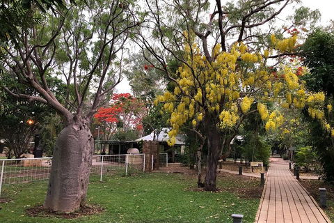 Wet Season Mitchell Falls Tour - Mitchell Falls, Horizontal Falls & Cygnet Bay - Goulburn Accommodation 1