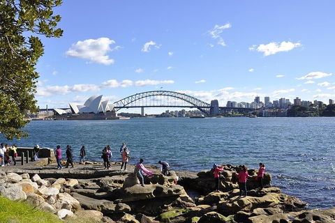 Sydney Sightseeing Bus Tours - Goulburn Accommodation 2