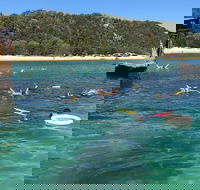 All Inclusive Dolphin and Tangalooma Wrecks Cruise - Goulburn Accommodation