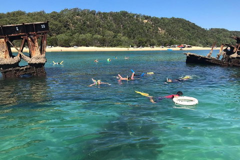 All Inclusive Dolphin And Tangalooma Wrecks Cruise - Goulburn Accommodation 0