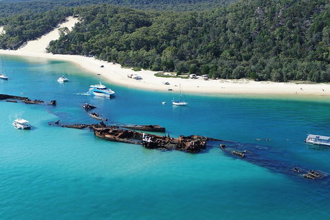 All Inclusive Dolphin And Tangalooma Wrecks Cruise - Goulburn Accommodation 4