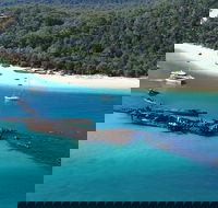 All Inclusive Tangalooma Wrecks Cruise Tour From Gold Coast - Goulburn Accommodation