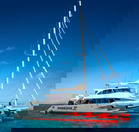 Passions of Paradise Great Barrier Reef Snorkel and Dive Cruise from Cairns by Luxury Catamaran - Goulburn Accommodation