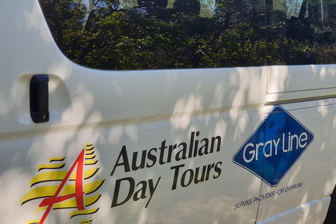 Natural Bridge Glow Worm Night Tour From Gold Coast - Goulburn Accommodation 5