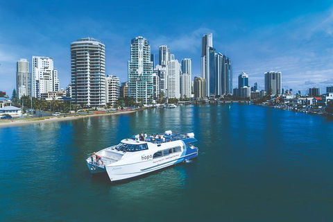 Hop On Hop Off Day Pass | Hopo Gold Coast Ferry - Goulburn Accommodation 3