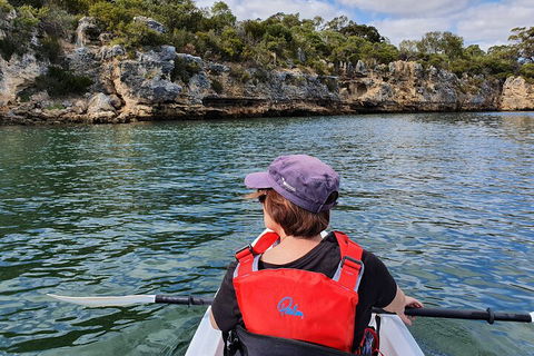 Cliffs And Caves Kayak Tour In Swan River - Goulburn Accommodation 0