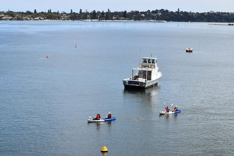 Cliffs And Caves Kayak Tour In Swan River - Goulburn Accommodation 2
