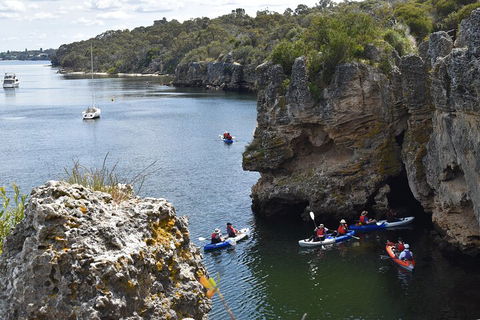 Cliffs And Caves Kayak Tour In Swan River - Goulburn Accommodation 5