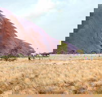 Uluru Sunrise and Guided Base Walk - Goulburn Accommodation