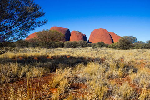 Kata Tjuta Sunrise And Valley Of The Winds Half-Day Trip - Goulburn Accommodation 1