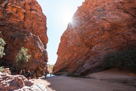 West MacDonnell Ranges- Half Day Trip From Alice Springs - Goulburn Accommodation 0