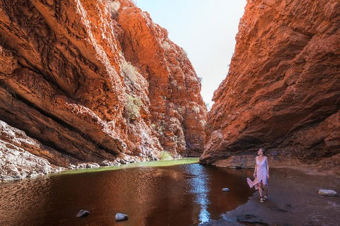 West MacDonnell Ranges- Half Day Trip From Alice Springs - Goulburn Accommodation 1