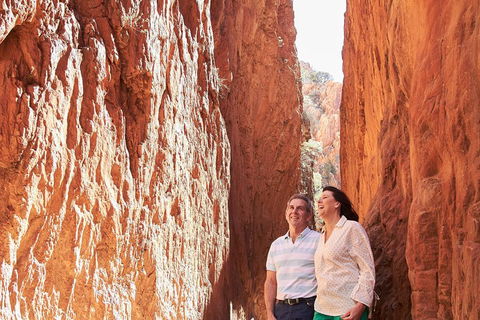 West MacDonnell Ranges- Half Day Trip From Alice Springs - Goulburn Accommodation 2