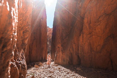 West MacDonnell Ranges- Half Day Trip From Alice Springs - Goulburn Accommodation 4