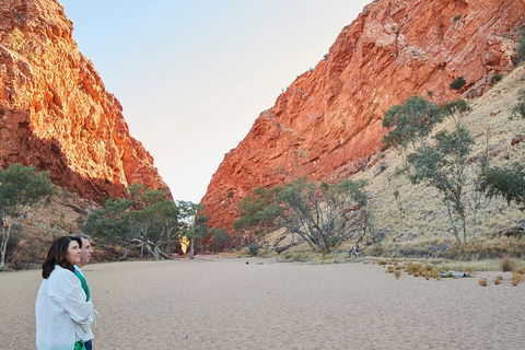 West MacDonnell Ranges- Half Day Trip From Alice Springs - Goulburn Accommodation 5